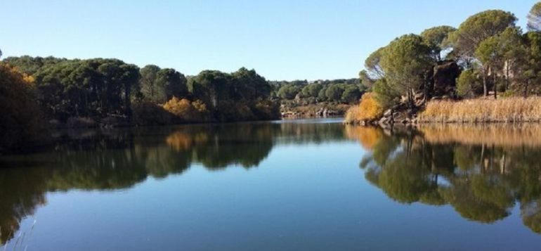 Villa Aljaral, Espectacular,Piscina,Chimenea, Climatizacion, Wifi Cordoue Extérieur photo
