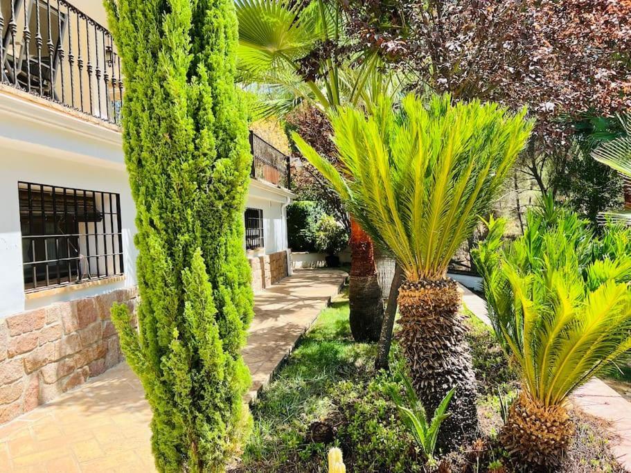 Villa Aljaral, Espectacular,Piscina,Chimenea, Climatizacion, Wifi Cordoue Extérieur photo